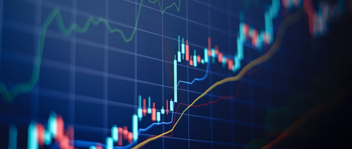 STOCK INFORMATION 株式について